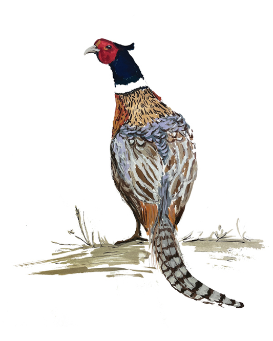 Pheasant Print