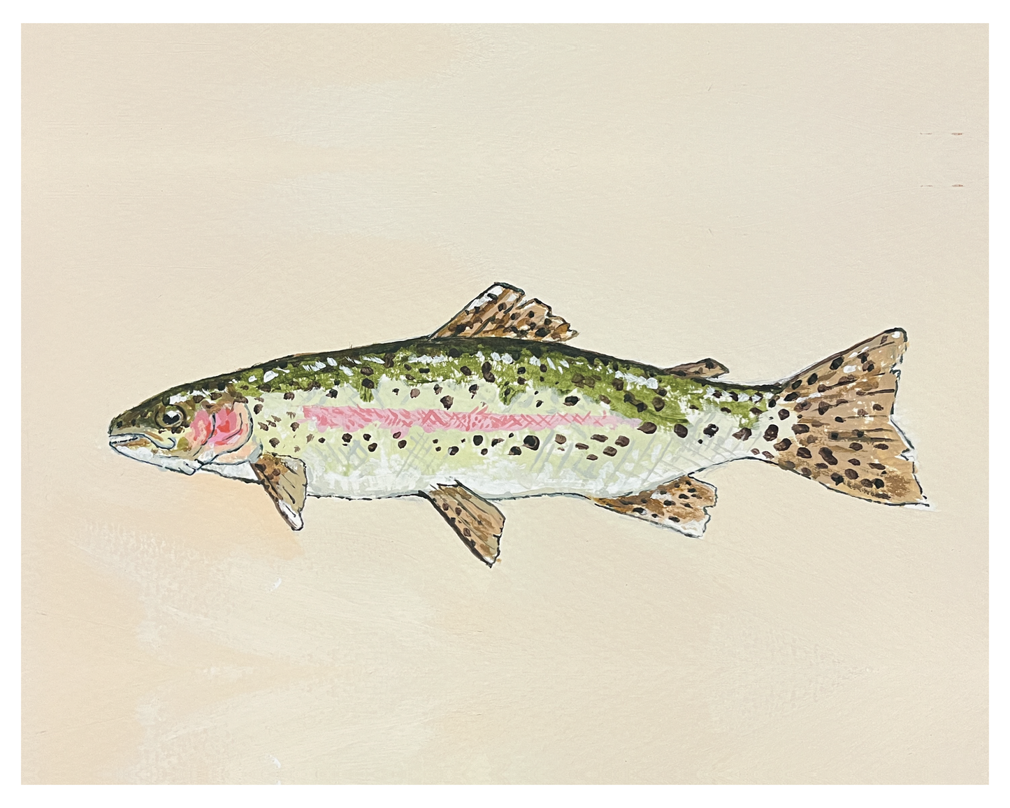 Rainbow Trout Print